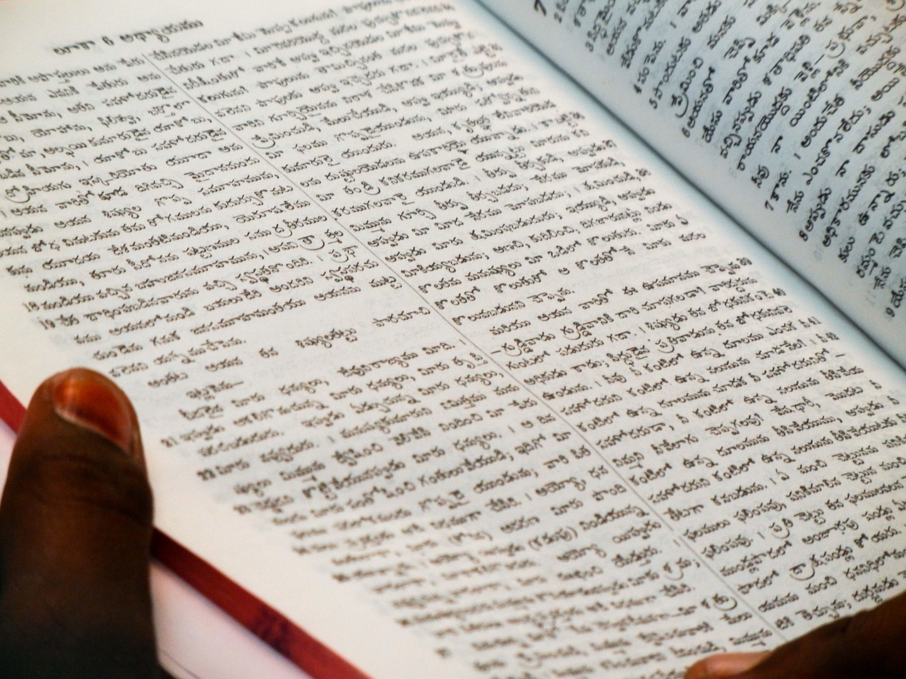 Reading in Translation: What We Gain When We Leave Our Own Language Behind